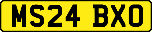 MS24BXO