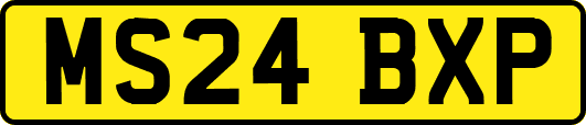 MS24BXP