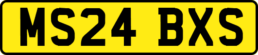 MS24BXS