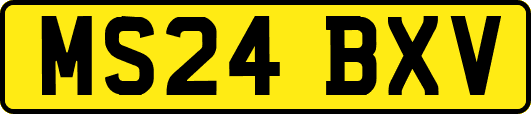 MS24BXV