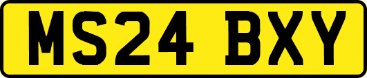 MS24BXY