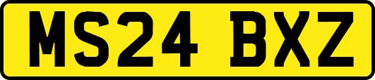 MS24BXZ