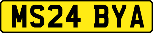 MS24BYA