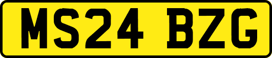MS24BZG