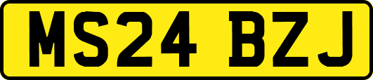 MS24BZJ
