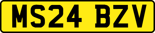 MS24BZV