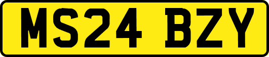 MS24BZY