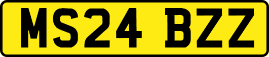 MS24BZZ
