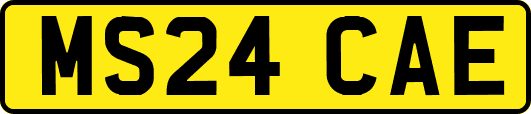 MS24CAE