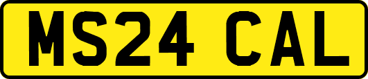 MS24CAL