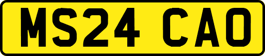 MS24CAO