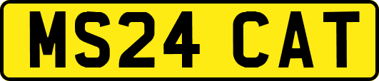 MS24CAT