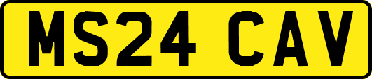 MS24CAV