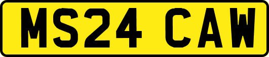 MS24CAW