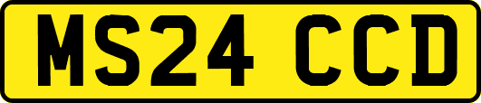 MS24CCD