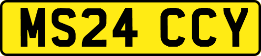 MS24CCY
