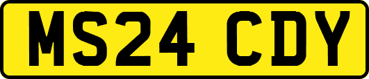 MS24CDY