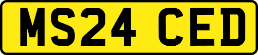 MS24CED