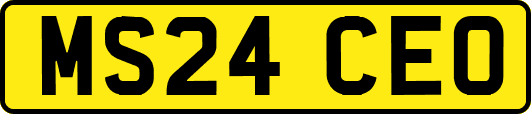 MS24CEO