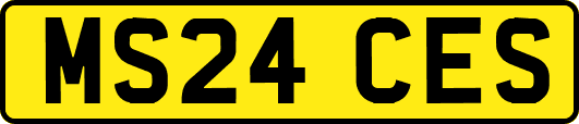 MS24CES