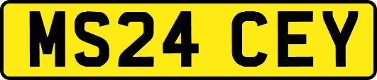 MS24CEY