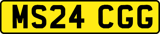 MS24CGG