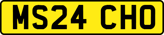 MS24CHO