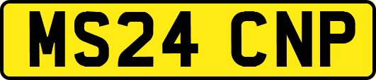 MS24CNP