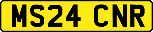 MS24CNR