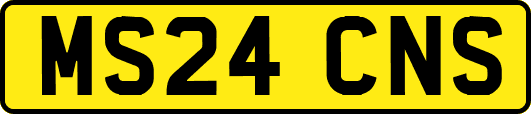MS24CNS