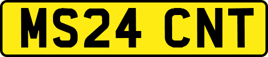 MS24CNT