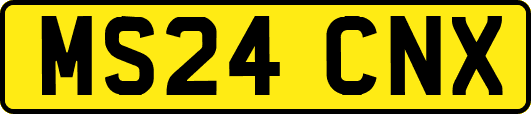MS24CNX
