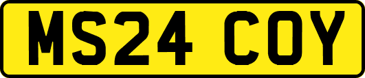 MS24COY