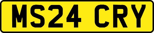 MS24CRY