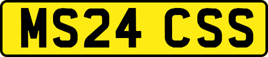 MS24CSS
