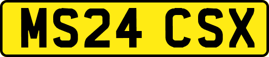 MS24CSX