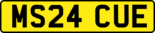 MS24CUE