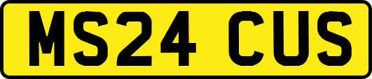 MS24CUS