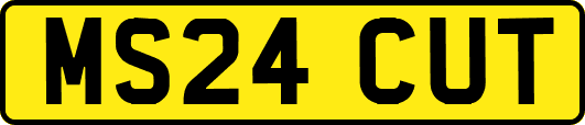 MS24CUT