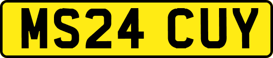 MS24CUY