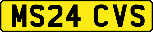 MS24CVS