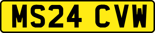 MS24CVW