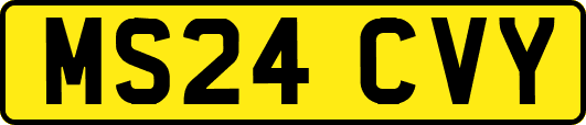 MS24CVY