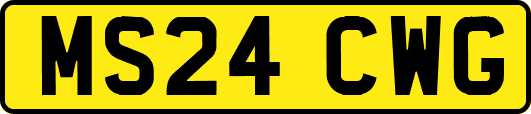 MS24CWG