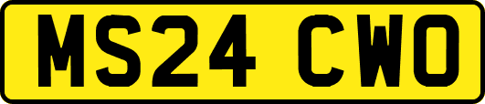 MS24CWO
