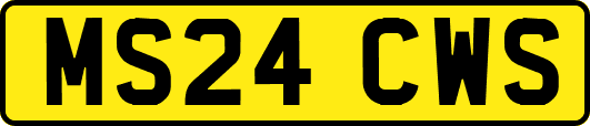 MS24CWS