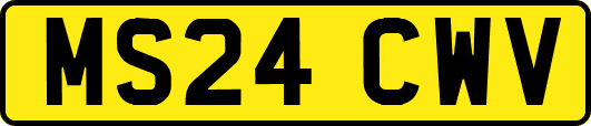 MS24CWV