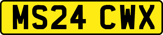 MS24CWX