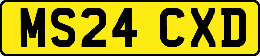 MS24CXD
