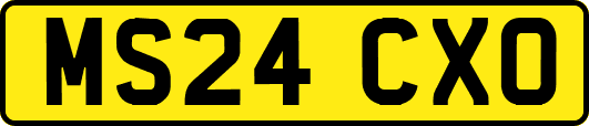MS24CXO